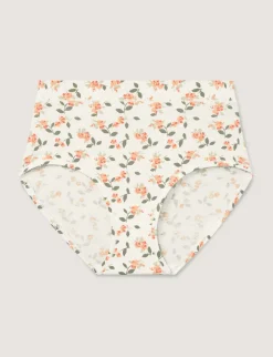Women's Cool Cotton High Rise Brief (3-Pack)